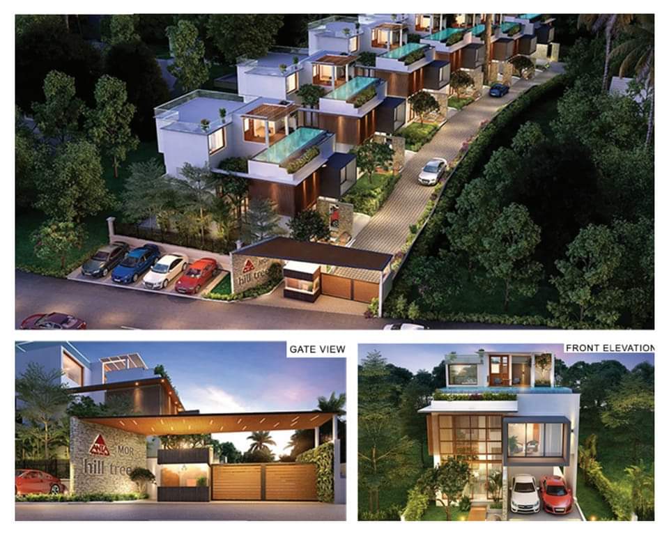 Realty Designs